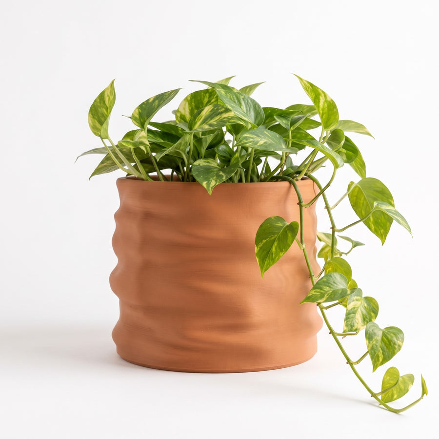 Clayla wavy terracotta planter with a trailing pothos